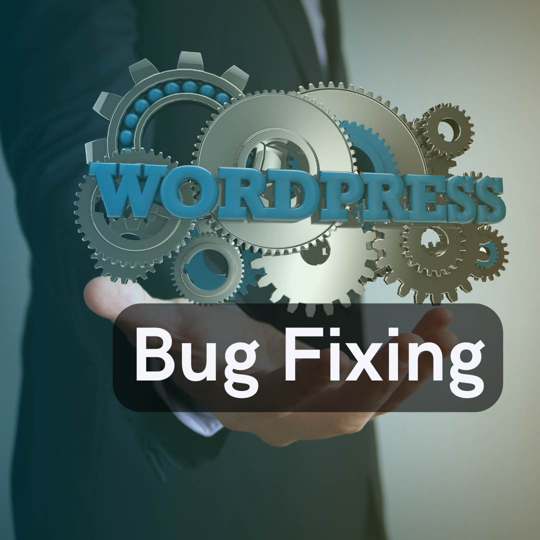 wordpress bug fixing