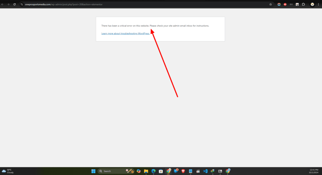 WordPress Critical Error