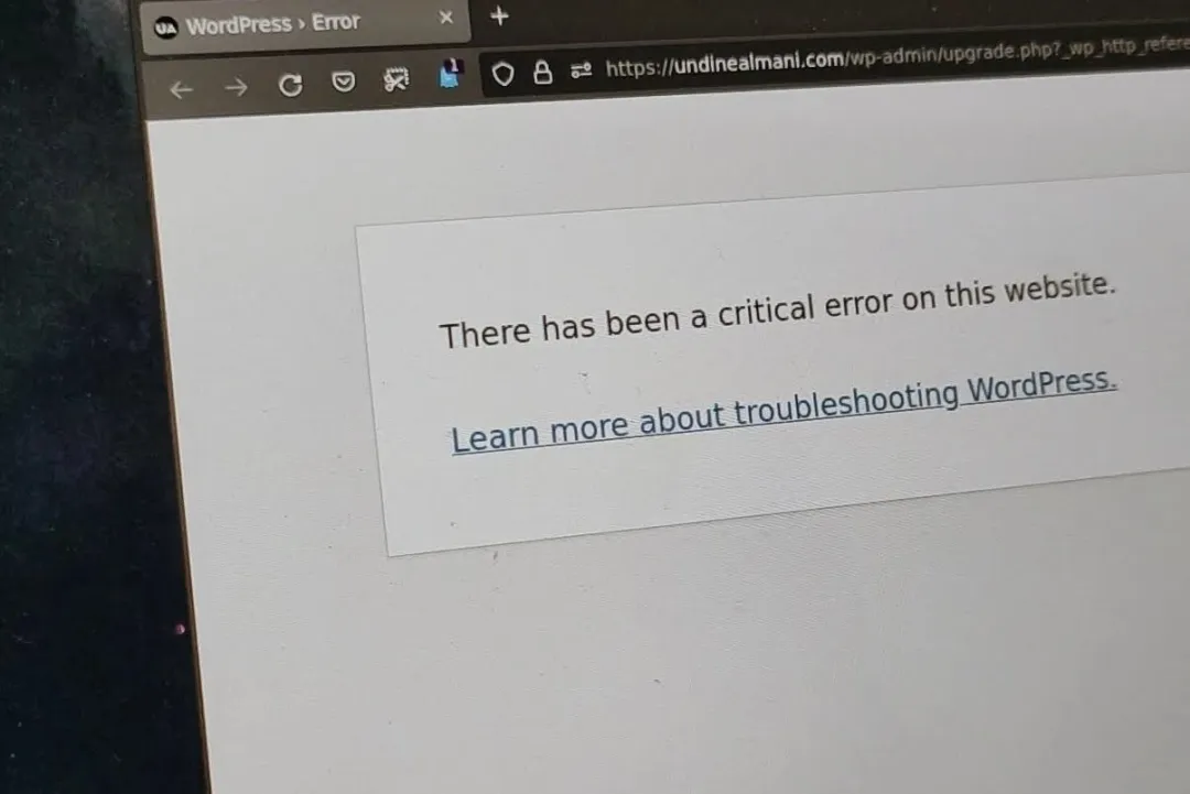 How to Access Wordpress Admin With a Critical Error Warning